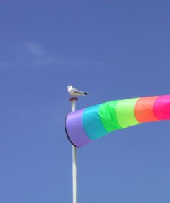 Windsocks