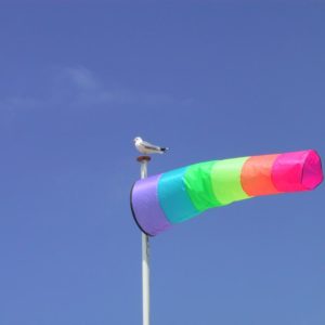 Windsocks