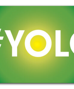 #YOLO – says it all! Flag