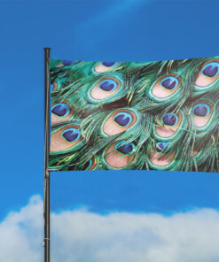 Peacock Print