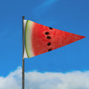 Watermelon Slice Flag by Festivology
