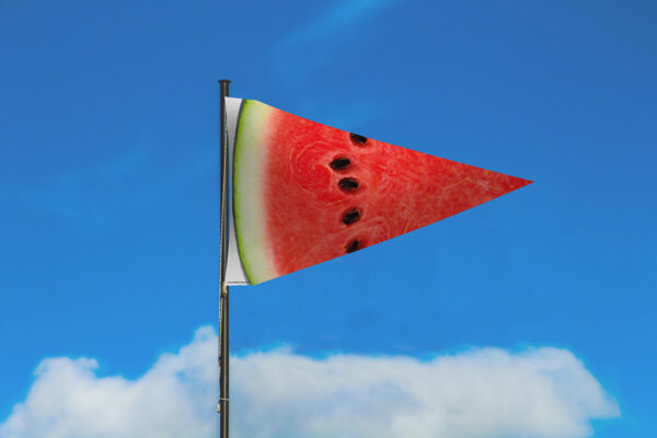 Watermelon Slice Flag by Festivology