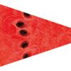 Festivology watermelon slice flag