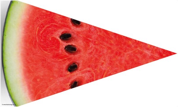 Festivology watermelon slice flag