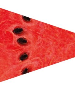 Festivology watermelon slice flag