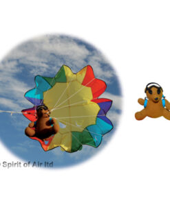 Parachute Ted