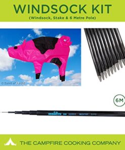 Festival flag pole kit with Pig Windsock, 6m Pole and Ground Stake