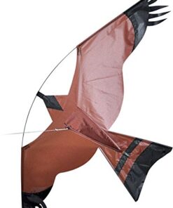 Hawk Bird Scarer Kite.