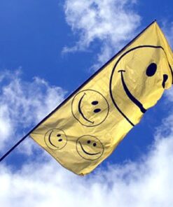 Smiley Face Banner Flag and 5m Telescopic Pole Kit