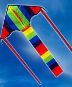 Super Rainbow Flyer